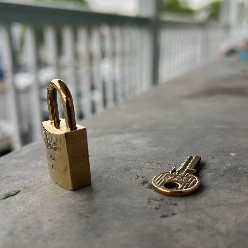 Vintage Louis Vuitton 🔐225 - Picture 11 of 13